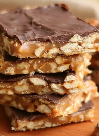 Delicious homemade Chocolate Caramel Pretzel Bars with layered chocolate and caramel